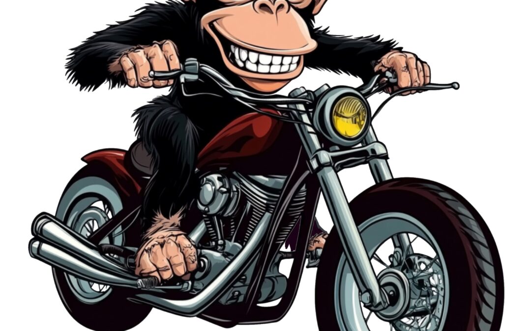 Monkey Bike